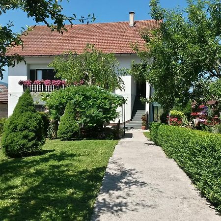 Guesthouse Pavlicic Dreznik Grad Bagian luar foto