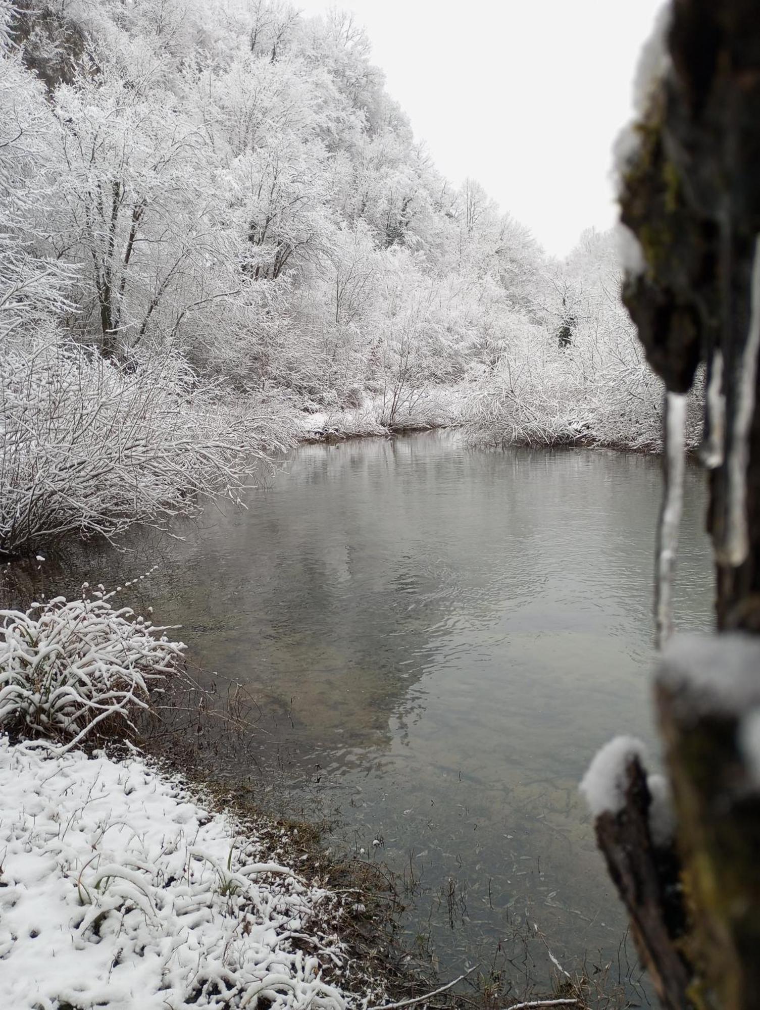 Guesthouse Pavlicic Dreznik Grad Bagian luar foto