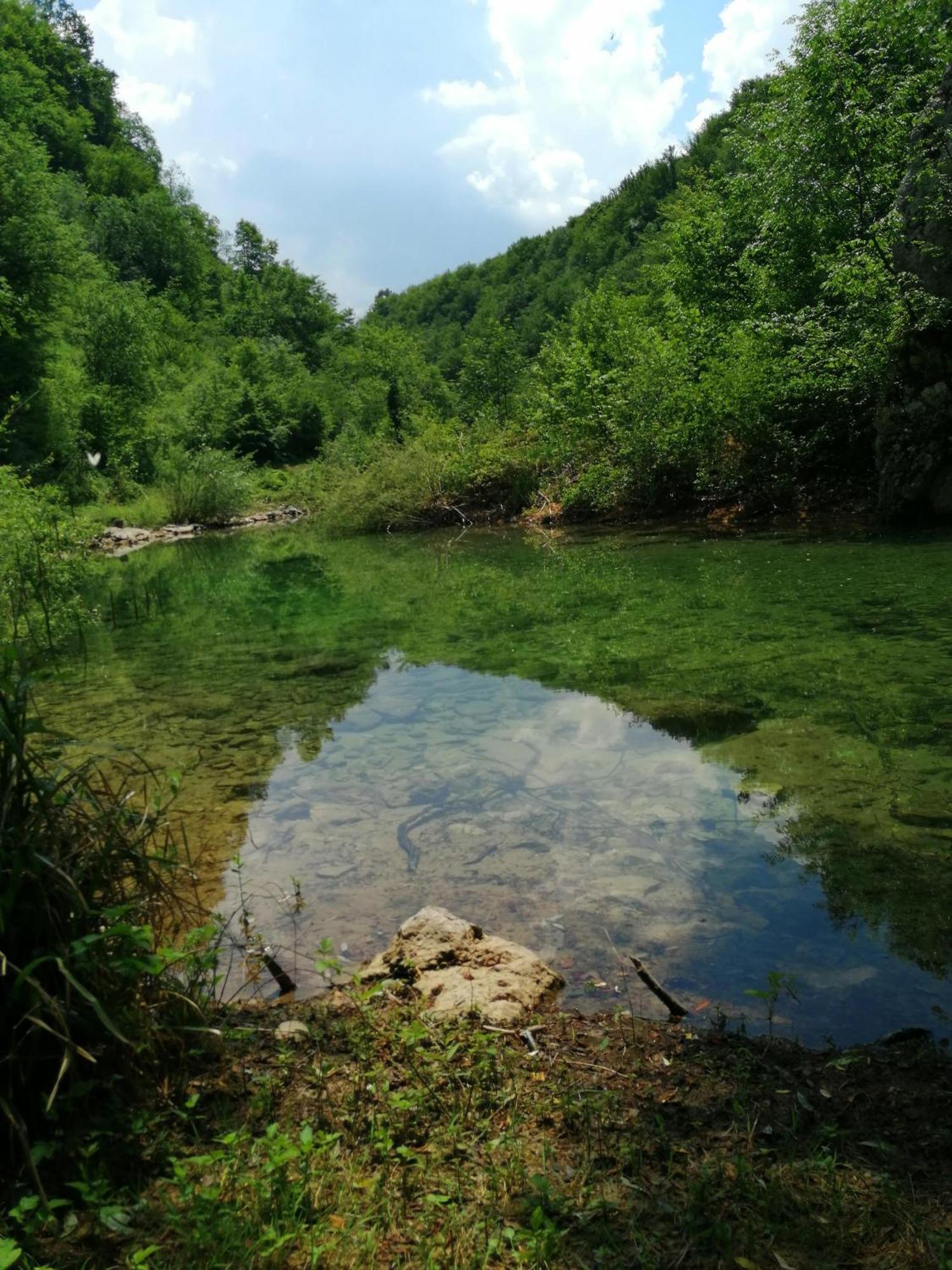 Guesthouse Pavlicic Dreznik Grad Bagian luar foto