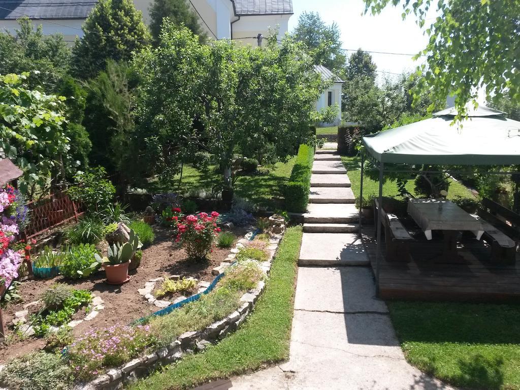 Guesthouse Pavlicic Dreznik Grad Bagian luar foto