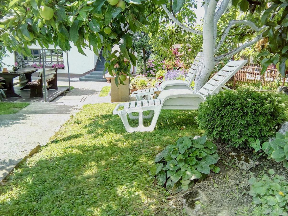 Guesthouse Pavlicic Dreznik Grad Bagian luar foto