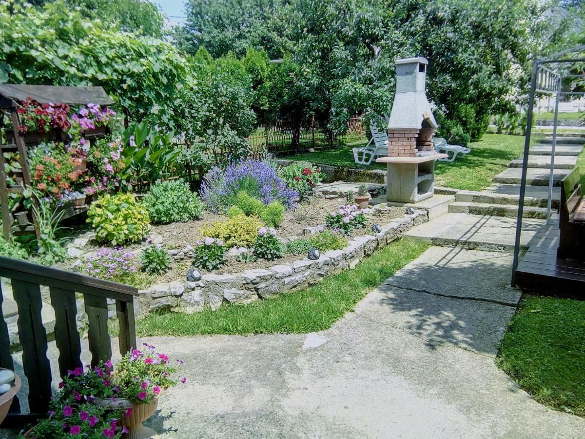Guesthouse Pavlicic Dreznik Grad Bagian luar foto