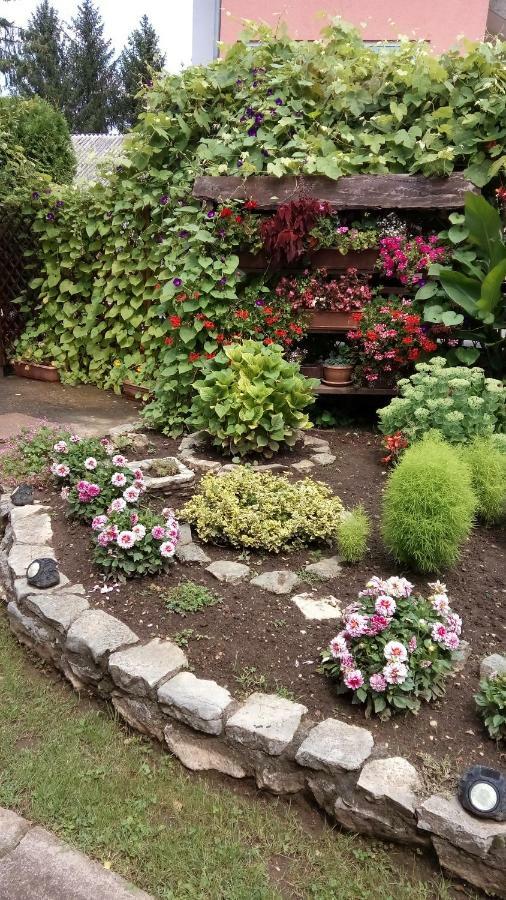 Guesthouse Pavlicic Dreznik Grad Bagian luar foto