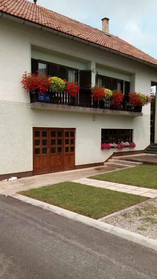Guesthouse Pavlicic Dreznik Grad Bagian luar foto