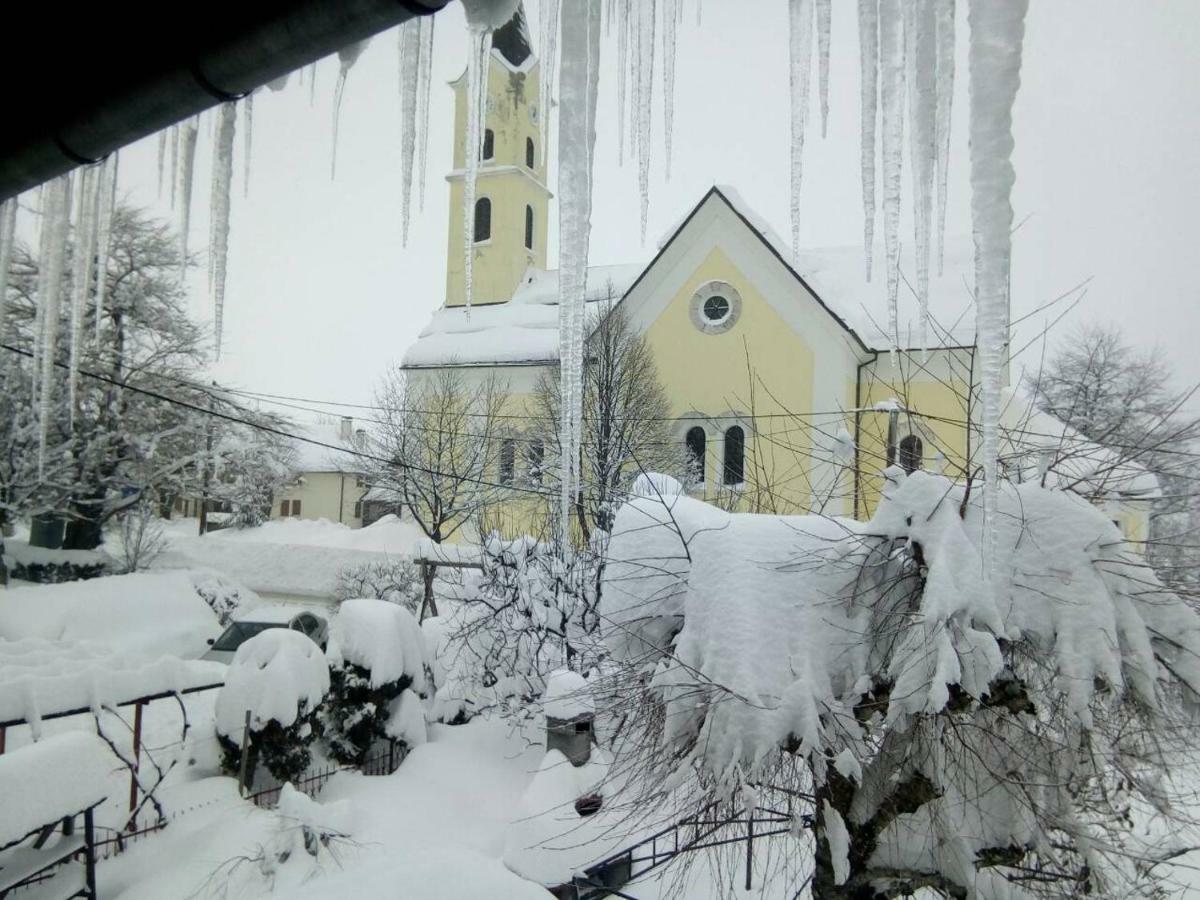 Guesthouse Pavlicic Dreznik Grad Bagian luar foto